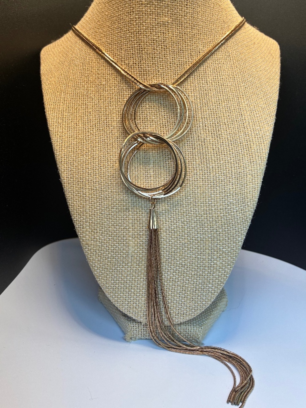 Silver and Gold-Tone Charlie Double Circle Multi bar Tassel Necklace